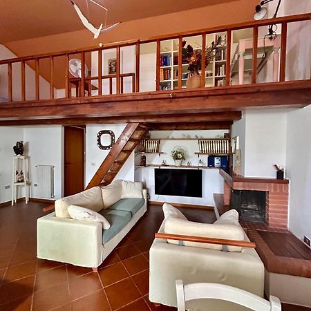 Amazing House 10 Min By Car From The Beach 奧爾比亞 外观 照片