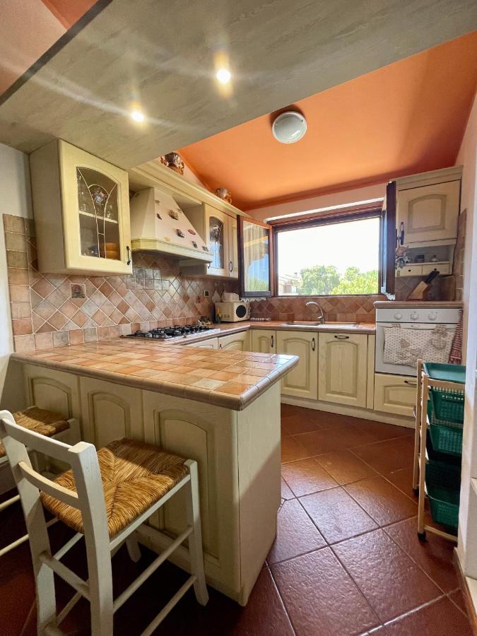 Amazing House 10 Min By Car From The Beach 奧爾比亞 外观 照片