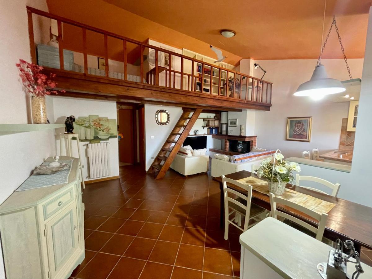 Amazing House 10 Min By Car From The Beach 奧爾比亞 外观 照片