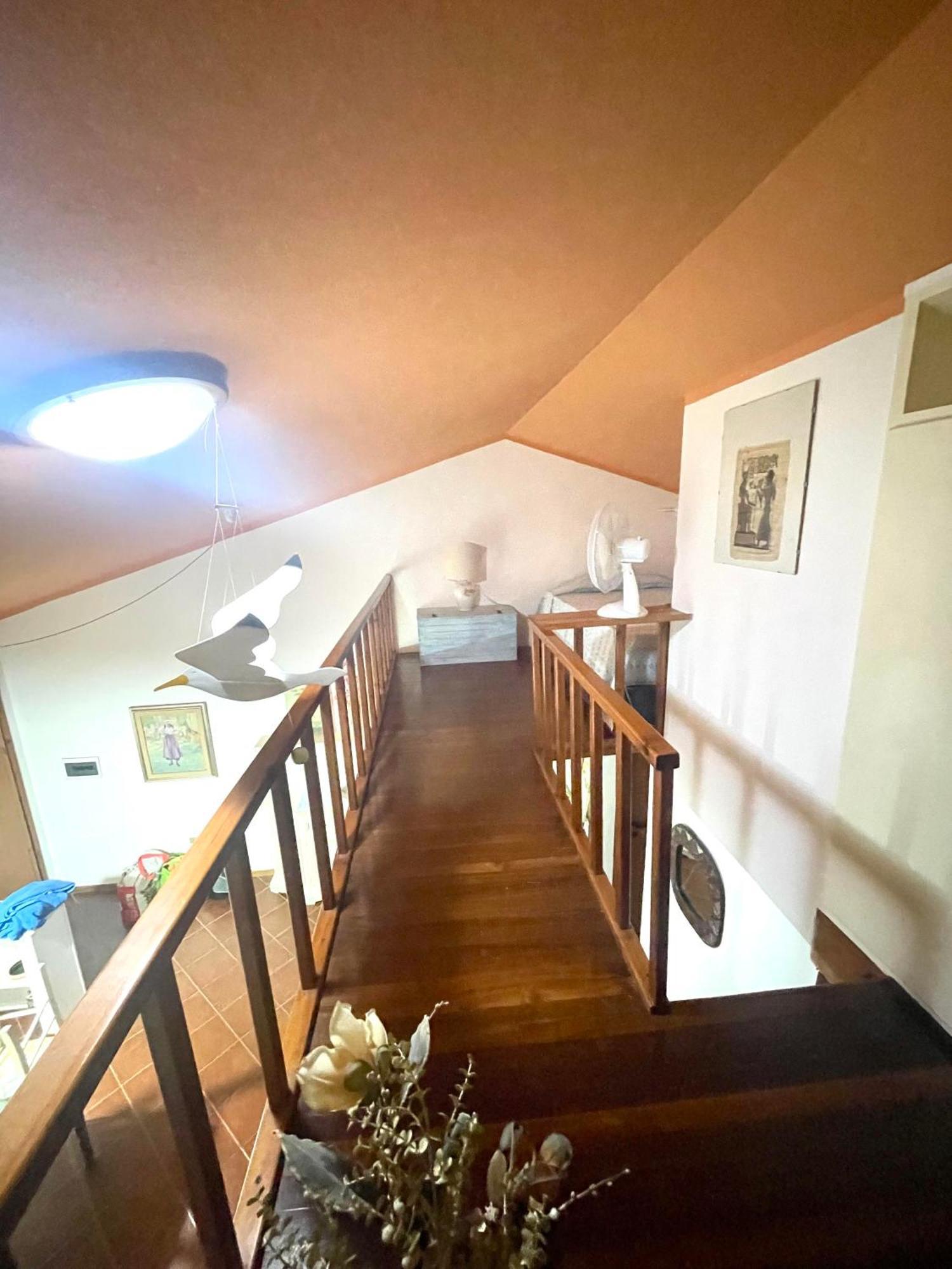 Amazing House 10 Min By Car From The Beach 奧爾比亞 外观 照片